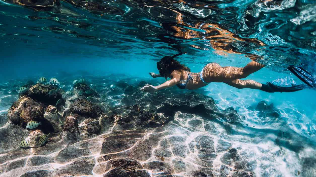 Sustainability at Heart